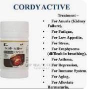Health Benefits Of Cordy Active Capsule