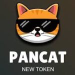 Buy pancat cryptocurrency
