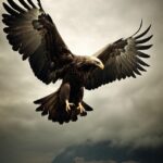 disciple as an eagle