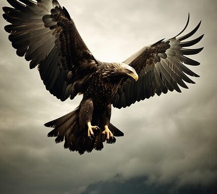 disciple as an eagle