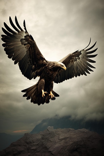 disciple as an eagle