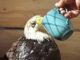 disciple as an eagle