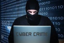 cyber crime