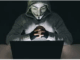 hacker