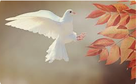 holy spirit